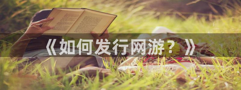 顺德bbin视讯电商：《如何发行网游？》