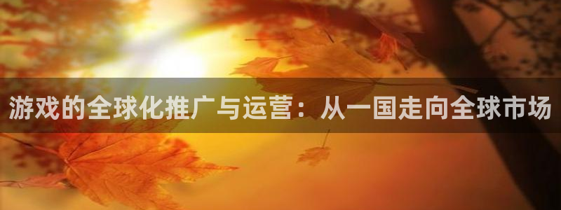 我要看bbin视讯