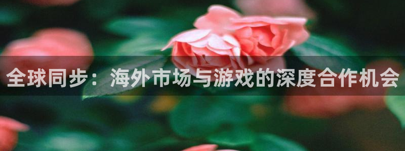 bbin视讯官网注册登录不了：全球同步：海外市场与游戏的深度合作机会