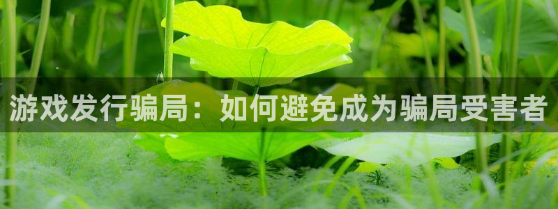 bbin视讯官网代理开号多少钱：游戏发行骗局：如何避免成为骗局受害者