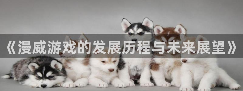 bbin视讯官网官网注册账号是什么：《漫威游戏的发展历程与未来展望》