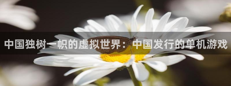 bbin视讯子怎么来的：中国独树一帜的虚拟世界：中国发行的单机游戏