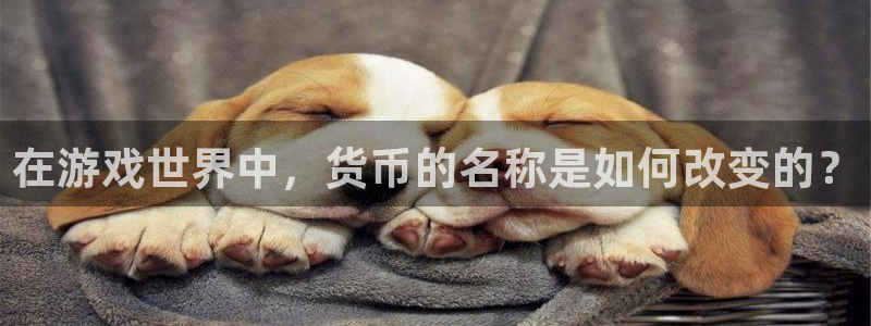bbin视讯注册开户：在游戏世界中，货币的名称是如何改变的？