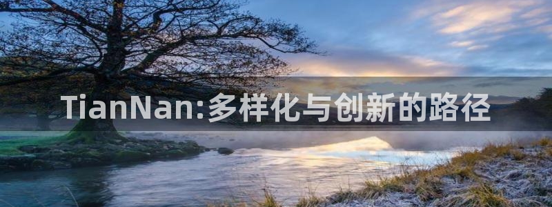 bbin视讯子赚话费：TianNan:多样化与创新的路径