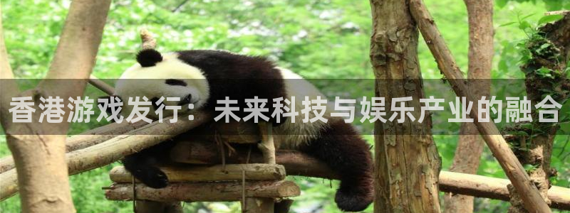bbin视讯科技有限公司：香港游戏发行：未来科技与娱乐产业的融合
