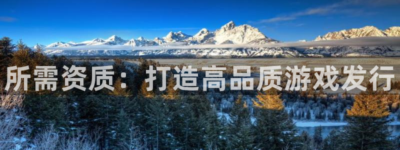 广州bbin视讯电子商务：所需资质：打造高品质游戏发行