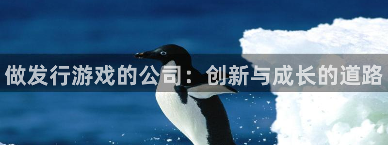 bbin视讯官网登录注册账号安全吗安全吗：做发行游戏的公司：创新与成长的道路