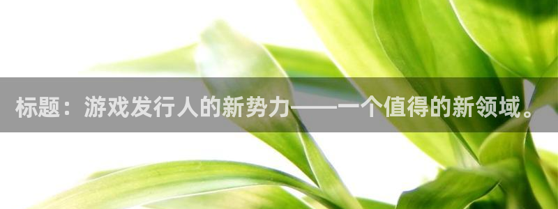 bbin视讯电商怎么样：标题：游戏发行人的新势力——一个值得的新领域。